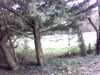 20150330-PICT0406-frame0001.jpg