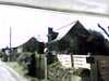20150331-PICT0414-frame0001.jpg