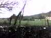 20150331-PICT0424-frame0001.jpg