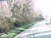 20150405-PICT0026-frame0001.jpg