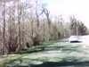 20150405-PICT0030-frame0001.jpg
