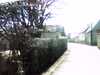 20150405-PICT0035-frame0001.jpg