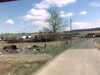 20150405-PICT0043-frame0002.jpg