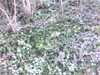 20150405-PICT0048-frame0001.jpg