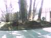 20150405-PICT0051-frame0001.jpg
