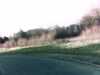 20150405-PICT0091-frame0002.jpg