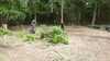 20150711-00013-frame0001.jpg