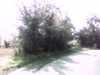 20150731-PICT0203-frame0001.jpg
