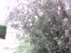 20150801-PICT0239-frame0001.jpg