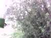 20150801-PICT0239-frame0002.jpg