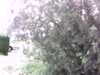 20150801-PICT0240-frame0002.jpg