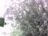 20150801-PICT0241-frame0001.jpg