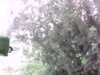 20150801-PICT0241-frame0002.jpg