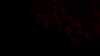 20150815-22000009-frame0003.jpg