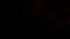 20150815-22060011-frame0001.jpg