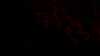 20150815-22240017-frame0003.jpg