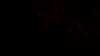 20150815-22360021-frame0002.jpg