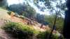 2015-08-23:Airsoft Jake Josh
