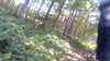 20150823-10390002-frame0002.jpg