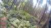 20150823-10420003-frame0001.jpg