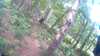 20150823-10450004-frame0001.jpg