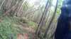20150823-10540007-frame0002.jpg