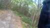 20150823-10570008-frame0003.jpg