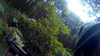 20150823-11030010-frame0001.jpg
