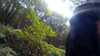 20150823-11060011-frame0001.jpg