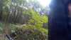 20150823-11090012-frame0003.jpg