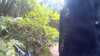 20150823-11150014-frame0001.jpg