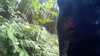 20150823-11150014-frame0003.jpg
