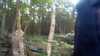 20150823-11210016-frame0003.jpg
