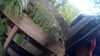20150823-11270018-frame0001.jpg
