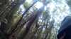 20150823-11330020-frame0003.jpg