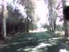 20150913-PICT0042-frame0002.jpg
