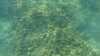 2015-09-19:Cassis
