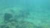 20150919-00030-frame0003.jpg