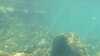 20150919-00030-frame0007.jpg