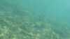 20150919-00031-frame0004.jpg