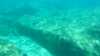 2015-09-20:Cassis
