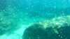 20150920-00032-frame0007.jpg