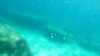 20150920-00033-frame0005.jpg