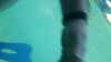 20150920-00034-frame0003.jpg