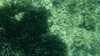 20150920-00034-frame0014.jpg