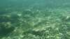 20150920-00034-frame0016.jpg