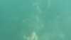 2015-09-22:Canyon du Verdon
