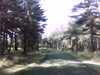 20150926-PICT0063-frame0001.jpg