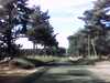 20150926-PICT0064-frame0001.jpg