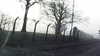 20160317-MOVI0004-frame0005.jpg